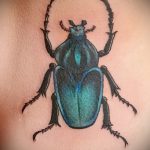 Az alkalmazott bogár tetoválás hűvös változata - a rajz alkalmas a sündisznó bogár tetoválásához