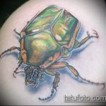 Jó példa a meglévő bogár tetoválásra - a rajz alkalmas bogár tetoválásra