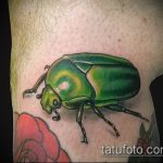 Az alkalmazott bogár tetoválás hűvös változata - a rajz alkalmas szarvasbogár tetováláshoz