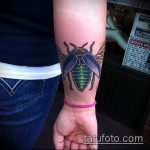 A kivitelezett bogár tetoválás érdekes változata - a rajz alkalmas egy bogár tetováláshoz egy levélből