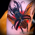 A bogár tetoválás tesztpéldája - a rajz alkalmas sündisznó bogár tetováláshoz