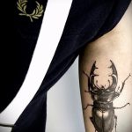 A meglévő bogár tetoválás klassz változata - a rajz alkalmas a bogár tetoválására a karon