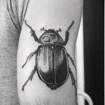 Az elkészített bogár tetoválás egyedi változata - a rajz alkalmas a bogár tetoválására a karon