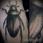 A bogár tetoválás remek példája - a rajz alkalmas sündisznó bogár tetováláshoz