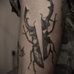 Érdekes példa egy meglévő bogár tetoválásra - a rajz alkalmas egy skarabeus bogár tetováláshoz