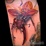 A bogár tetoválás remek példája - a rajz alkalmas a bogár tetoválására a vállán