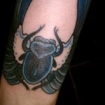 Az alkalmazott bogár tetoválás érdekes változata - a rajz alkalmas a bogár tetoválására a karon