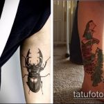 A meglévő bogár tetoválás tesztverziója - a rajz egy sündisznó bogár tetováláshoz alkalmas