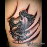 A tetovált daru klassz példája - a rajz alkalmas a lapockán lévő darutetováláshoz