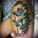 Hűvös példa a kész darutetoválásra - a rajz alkalmas darutetoválásra a tenyéren