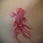 A meglévő aranyhal tetoválás érdekes változata - a rajz alkalmas aranyhal és lótusz tetováláshoz