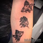 Érdekes példa egy meglévő aranyhal tetoválásra - a rajz alkalmas aranyhal tetoválásra a hátán