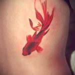 Egy remek példa a kész aranyhal tetoválásra - a rajz alkalmas egy aranyhal tetoválásra a lapockán