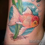 A tetovált aranyhal hiteles változata - a rajz aranyhal és lótusz tetováláshoz alkalmas