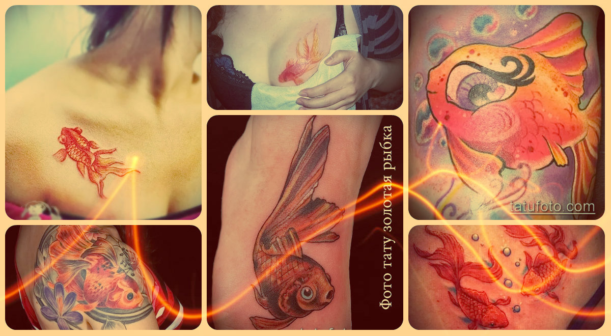 Fotó egy aranyhal tetoválásról - a legjobb lehetőség a saját tetoválás létrehozására