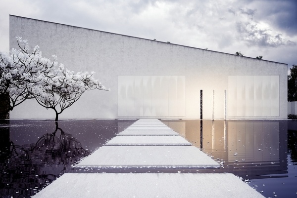 3D grafický dizajn kocka krídla House Nowak