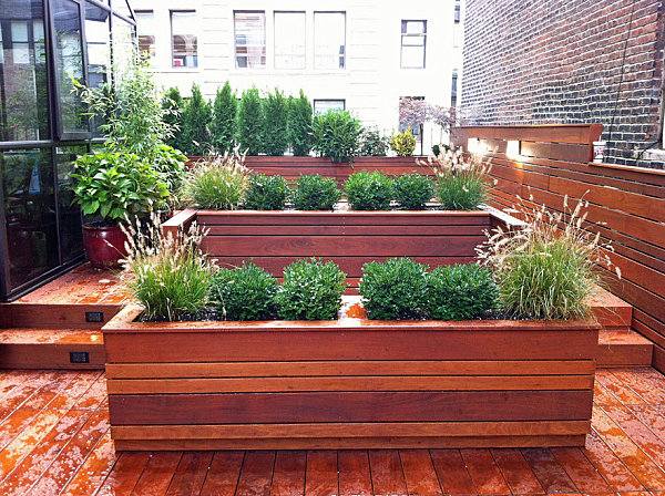 Strešná záhrada, postele vyvýšené drevom, slonie tráva, buxusy