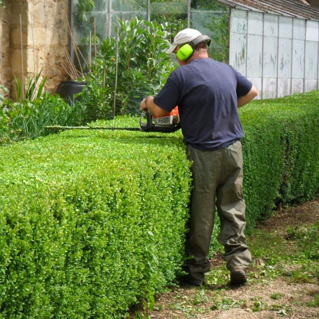 živé ploty nožnice na živé ploty na batérie