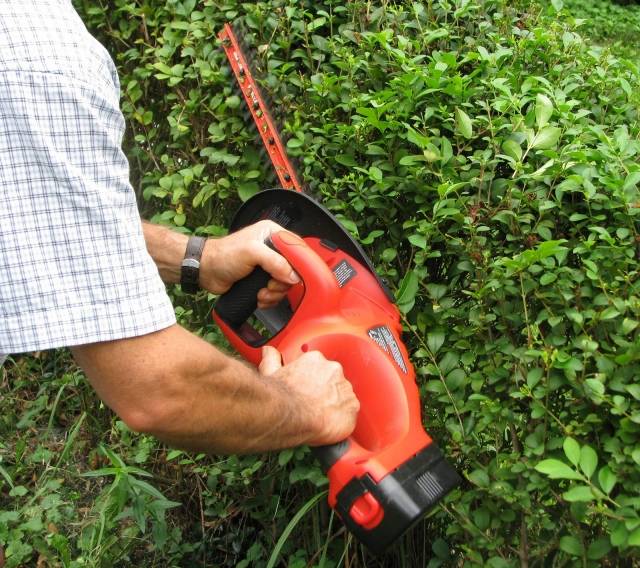 Akumulátorové nožnice na živý plot strihajú živé ploty do tvaru