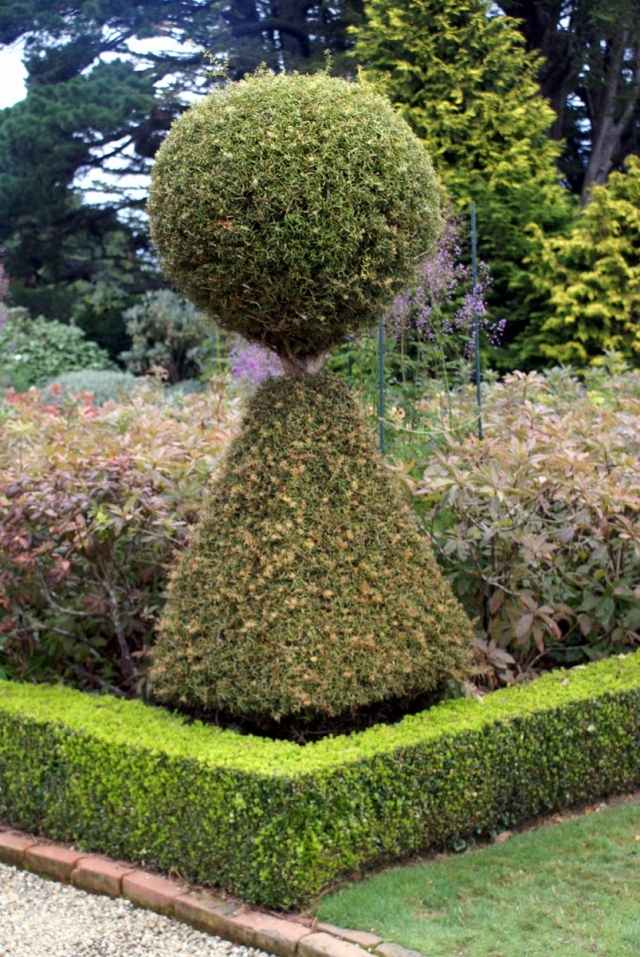 Topiary jarabice záhradníctva