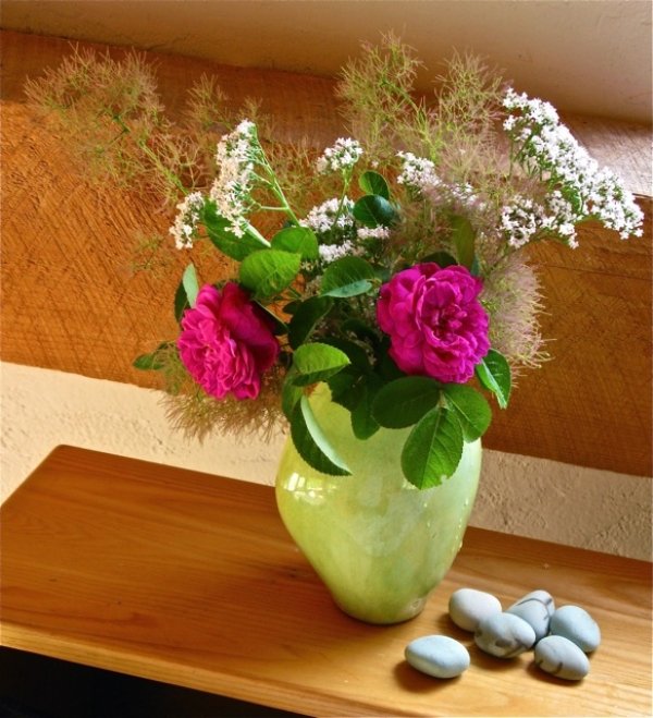 Rezané kvety ruže valeriánske spálne kvety nápady na výzdobu kytice