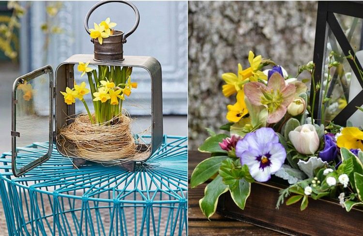 Narcisy v hniezde a vintage lampáš jarné dekorácie-ploché-vinobranie-lampášom naplnené-narcisové hniezdo