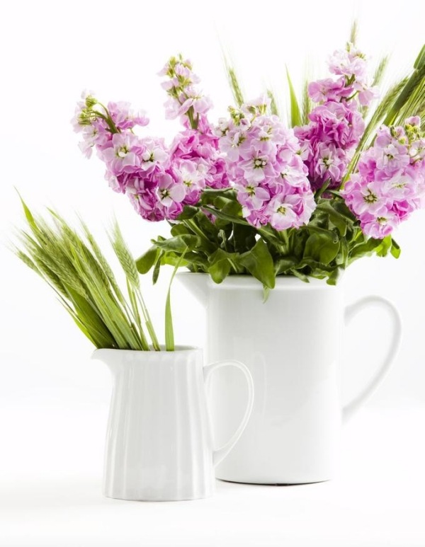 porcelánový džbán hyacint porcelánový džbán nápady na jar hyacint pštros porcelánový džbán nápady na jarné dekorácie