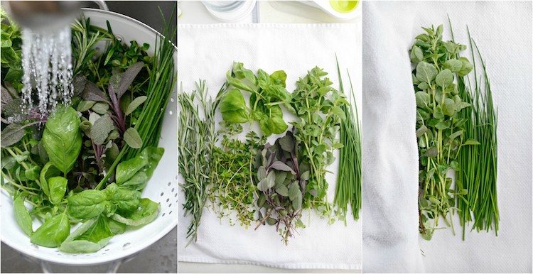 mrazenie byliniek návod pranie na sucho