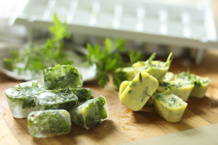 bylinky zmraziť tipy odrody olivový olej voda