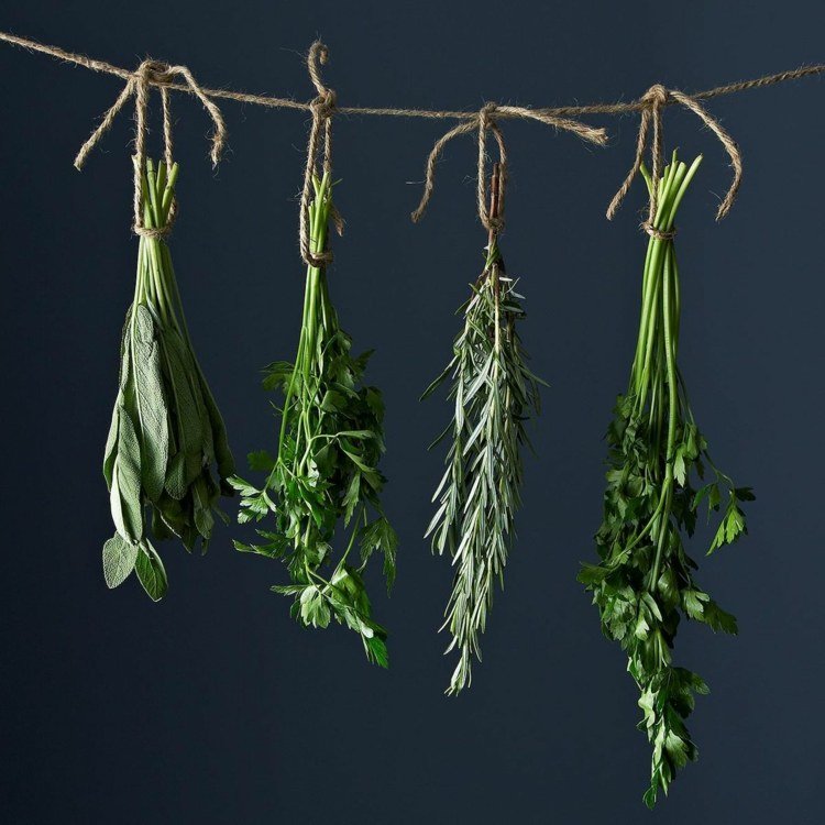 čerstvé bylinky vešia suchá rozmarínová petržlenová vňať