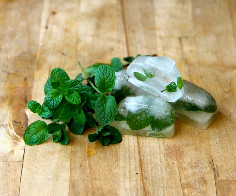 zachovať bylinky mäta pieporná zmraziť vodu kocky ľadu