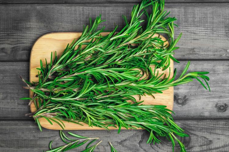 Rozmarín zmrazte, aby sa zachovali čerstvé bylinky