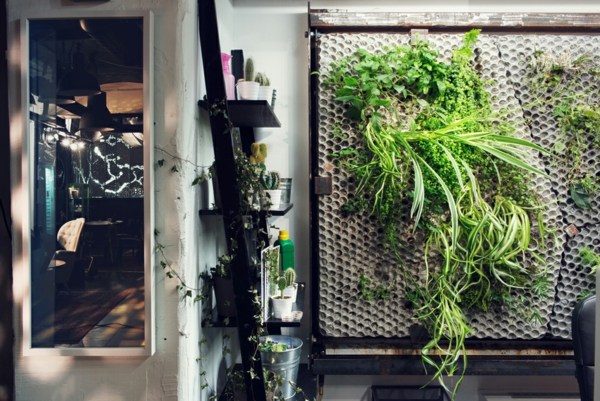 Kancelársky nábytok jedlé rastliny betónové steny