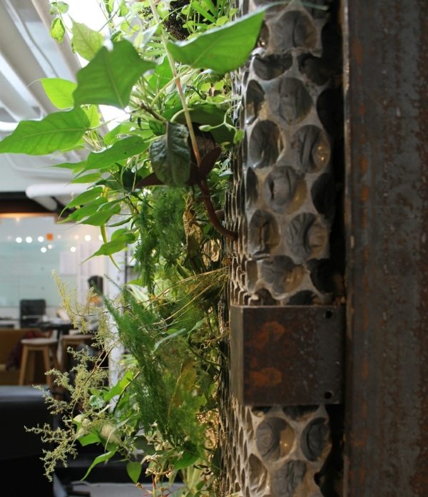 Vytvorte záhradné rastliny zelenina bylinky kancelária