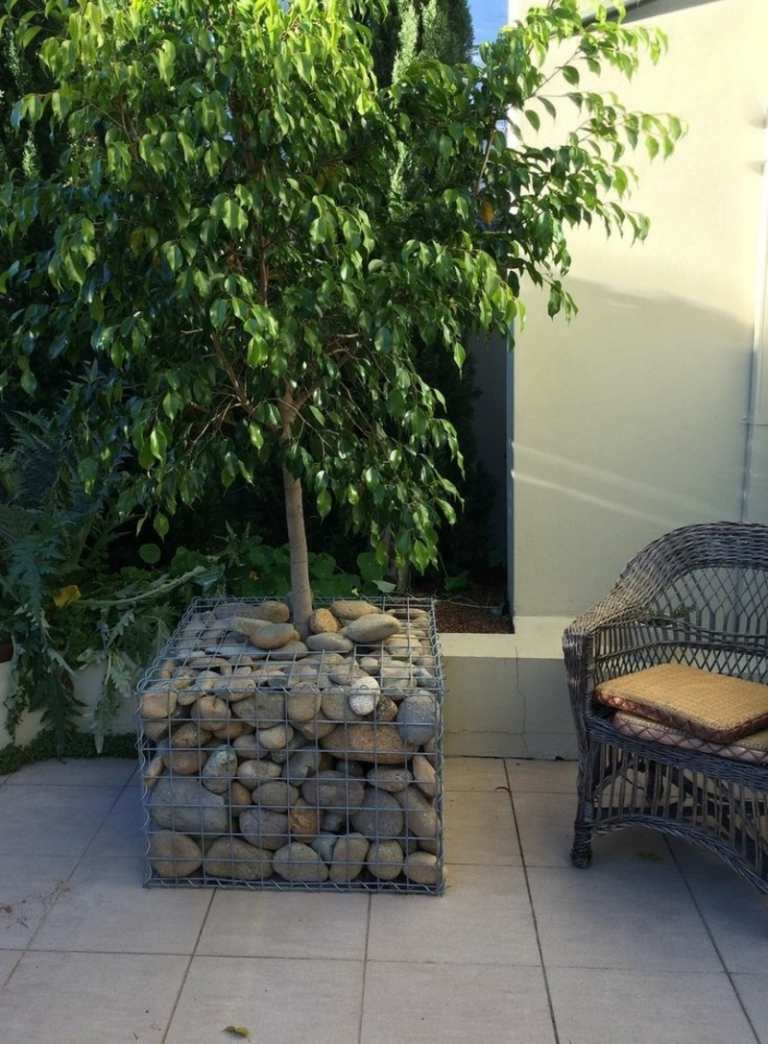 Gabióny tvoria kvetináč pre fikusy na terase gabiony ako ozdoba na záhrade vysádzač idea fikus terasa