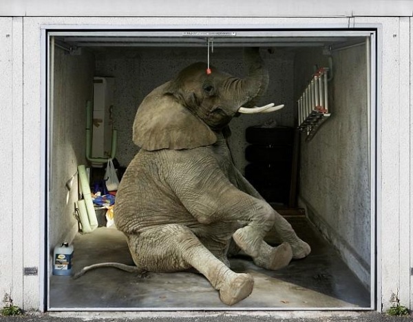 Foto nástenná garážová brána s návrhom rolovacích dverí Foto roletové garážové posuvné brány