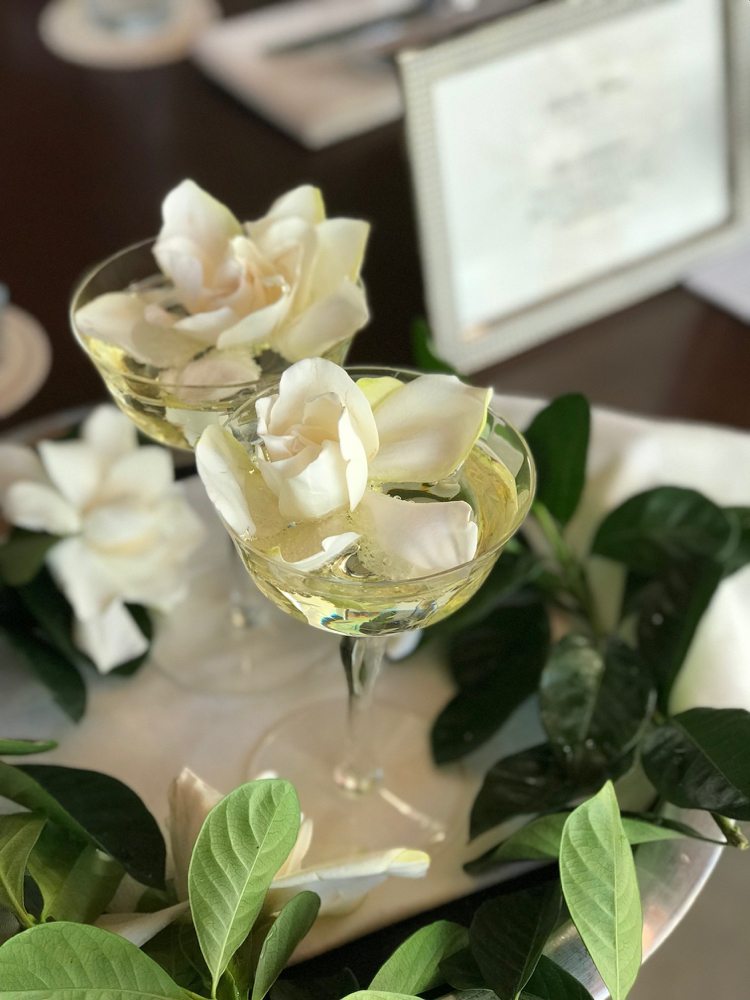 Gardenia tipy na starostlivosť o záhradu vôňa jazmínu aromatická dekorácia