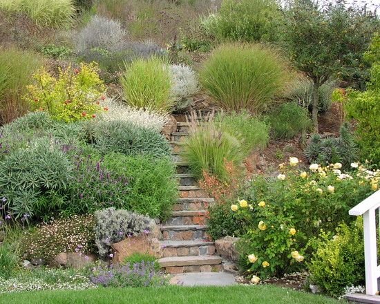 svah záhradné schody nápady výsadba okrasných tráv