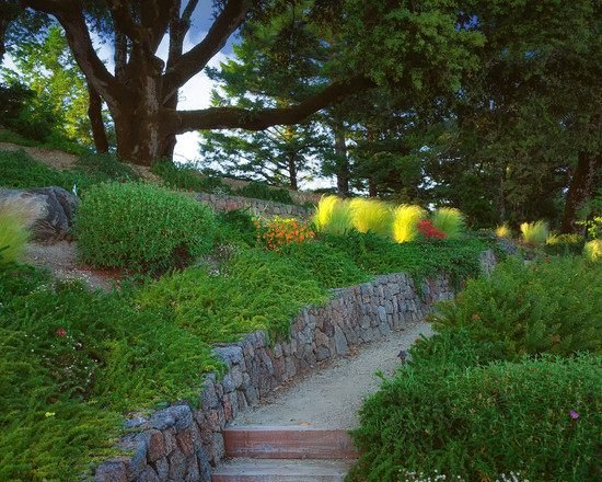 svah záhrada oporný múr kameň pôdopokryvná výsadba