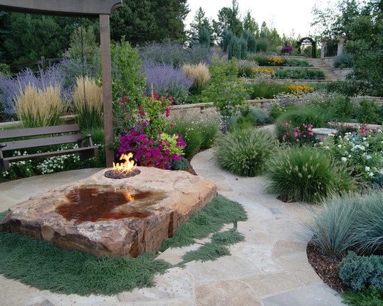 záhradný stredomorský nádych krbová rastlina okrasné trávy