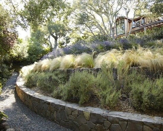 záhradný svah nápady svah úroveň kameňa bezpečné okrasné trávy