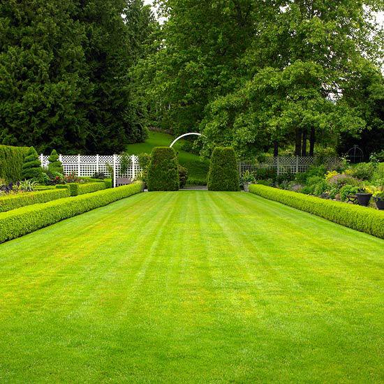 Vytvorte lúčnu záhradu