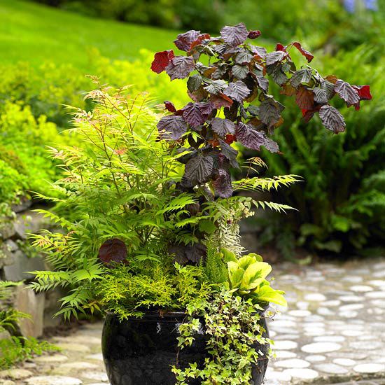 Záhrada v kvetináčoch Steinweg