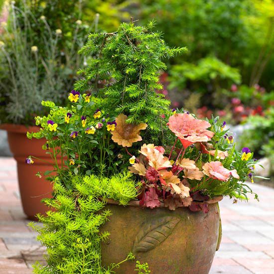 Záhrada s kvetináčmi