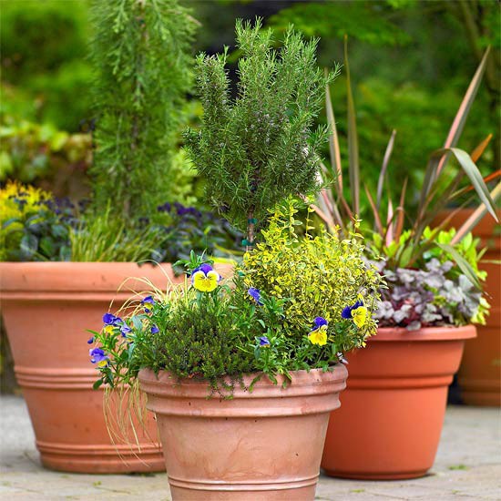 Dekorácia kvetináčov