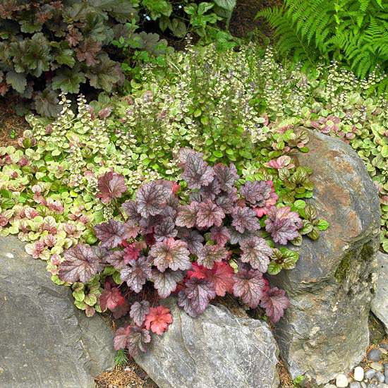 Kamenná bylinková záhrada