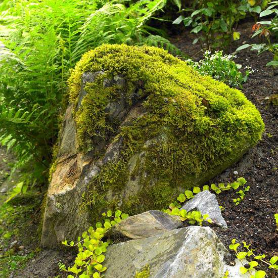 Dizajn machových záhradných kameňov