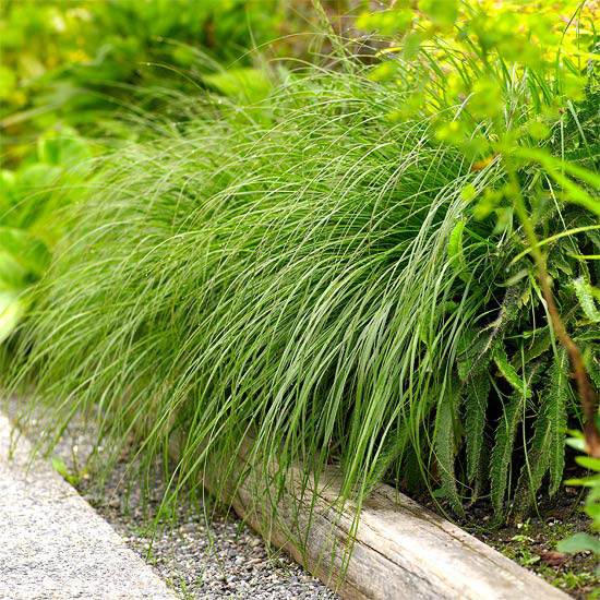 Záhradná kamienková cesta