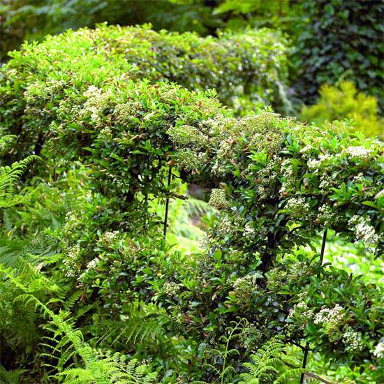 Nápady na záhradný plot