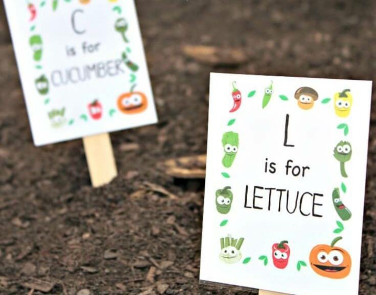 záhrada-vytvárať-deti-znaky-posteľ-štítok-zelenina-abeceda